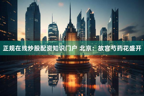 正规在线炒股配资知识门户 北京：故宫芍药花盛开